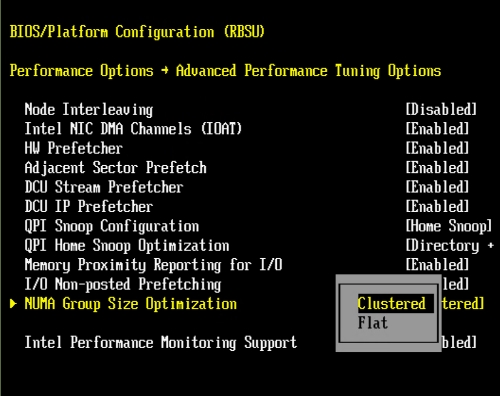../../../../_images/dl360_bios_numa.jpg