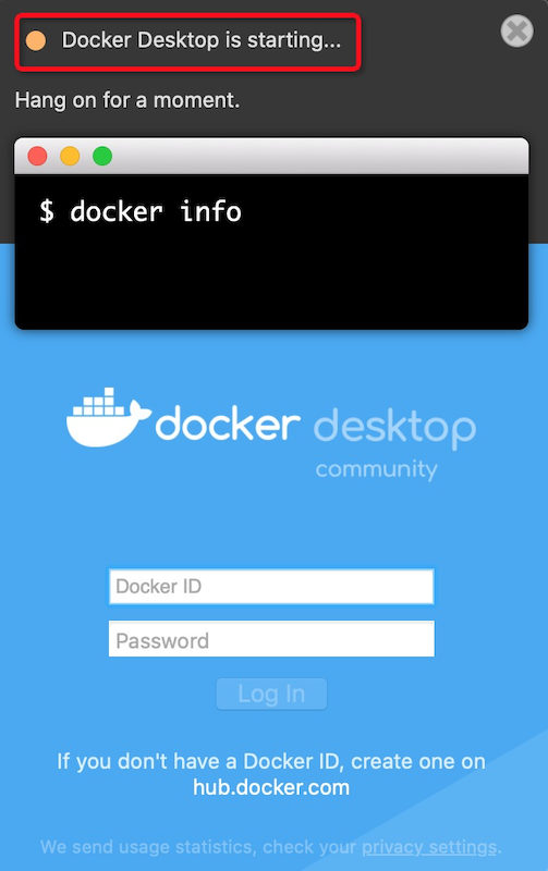 ../../_images/docker_starting.png
