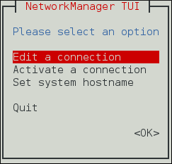 ../../../_images/nmtui.png
