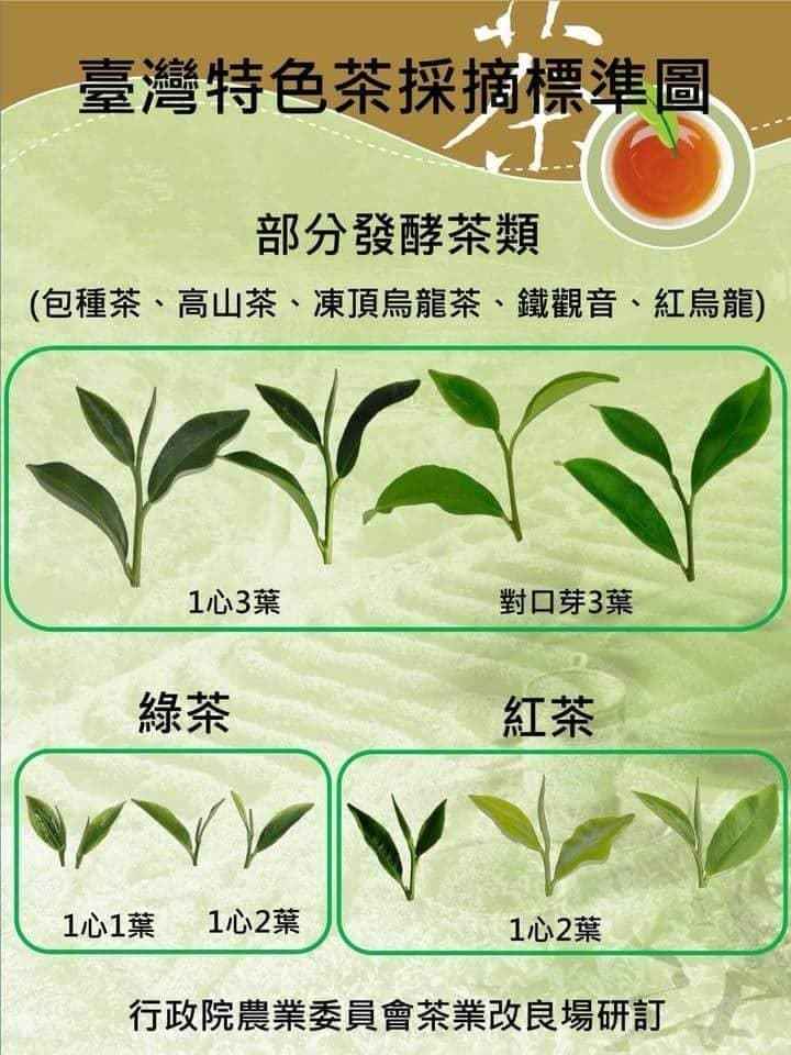 ../../_images/tea_leaf_class.jpg