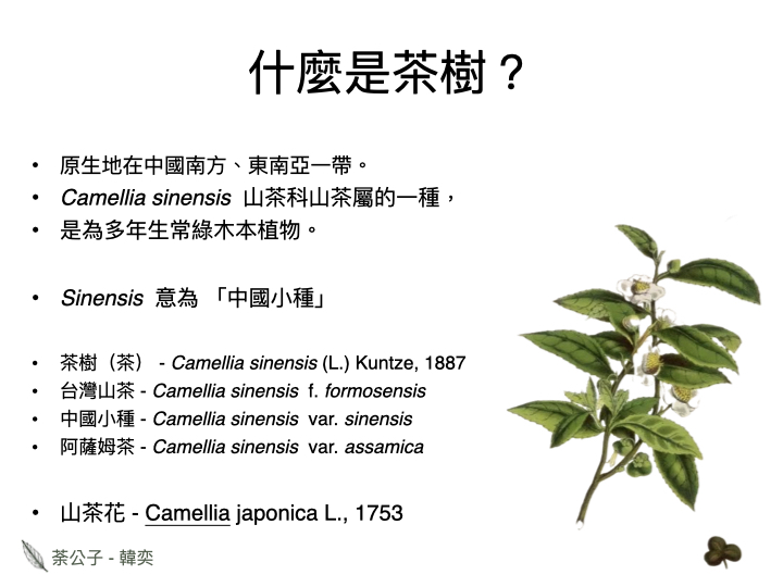 ../../_images/tea_tree.jpg